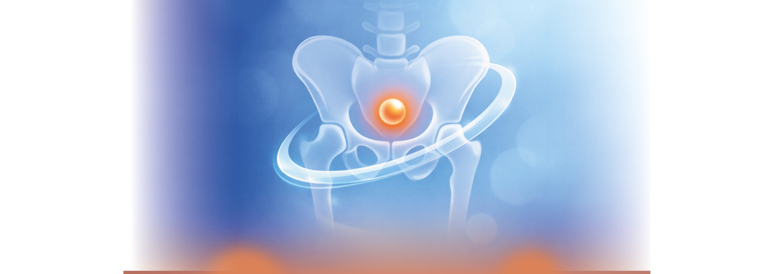 Pelvic Floor Rehab Pelvic Floor Rehab